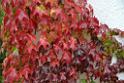 131012_GR2_wiiwegle (07)